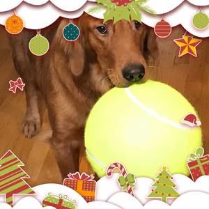 Meet your Posher, Lynnette